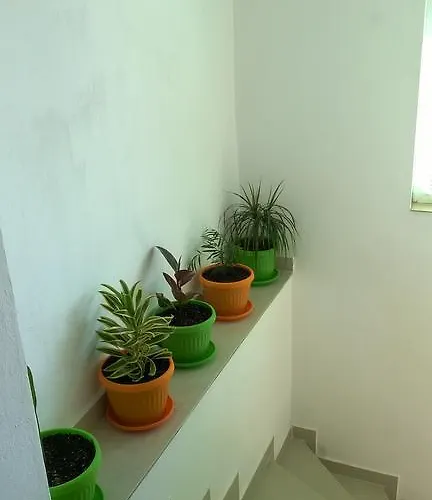 Vendégház Summer Sz Szozopol